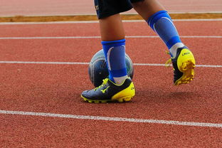 mk体育登录-篮球运动员心理健康支持体系构建，篮球运动员心理健康支持体系构建方案