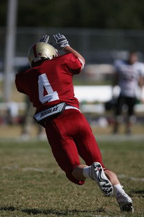 mk体育app-五大联赛最具统治力的球队如何打造，五大联赛良心球队